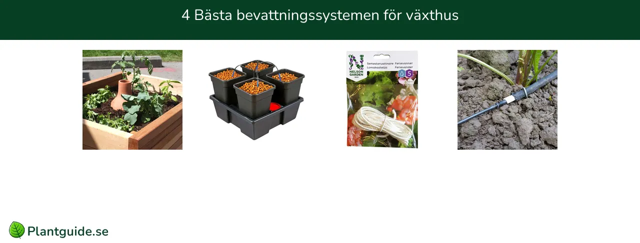 Bevattningssytem för växthus bäst i test