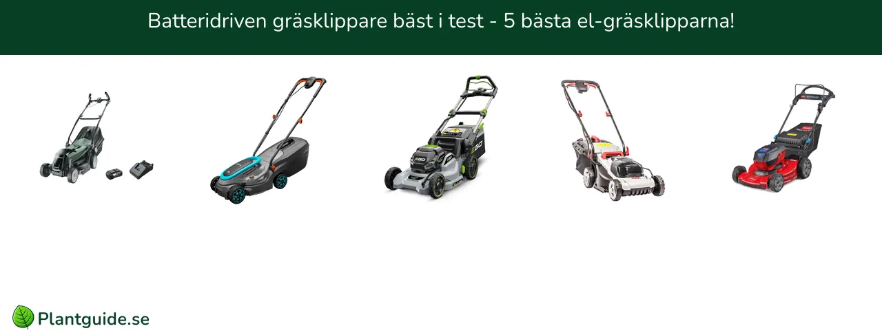 Batteridriven gräsklippare bäst i test