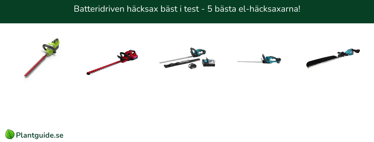 Batteridriven häcksax bäst i test