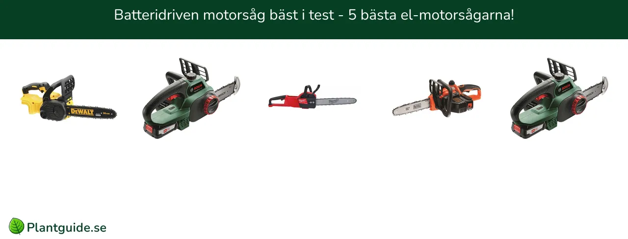 Batteridriven motorsåg bäst i test