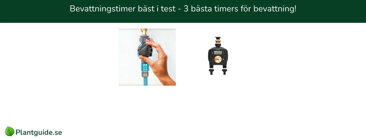 Bevattningstimer bäst i test