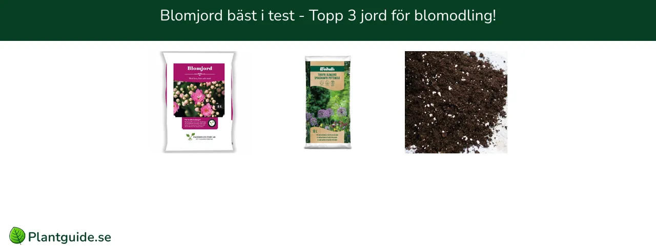 Blomjord bäst i test