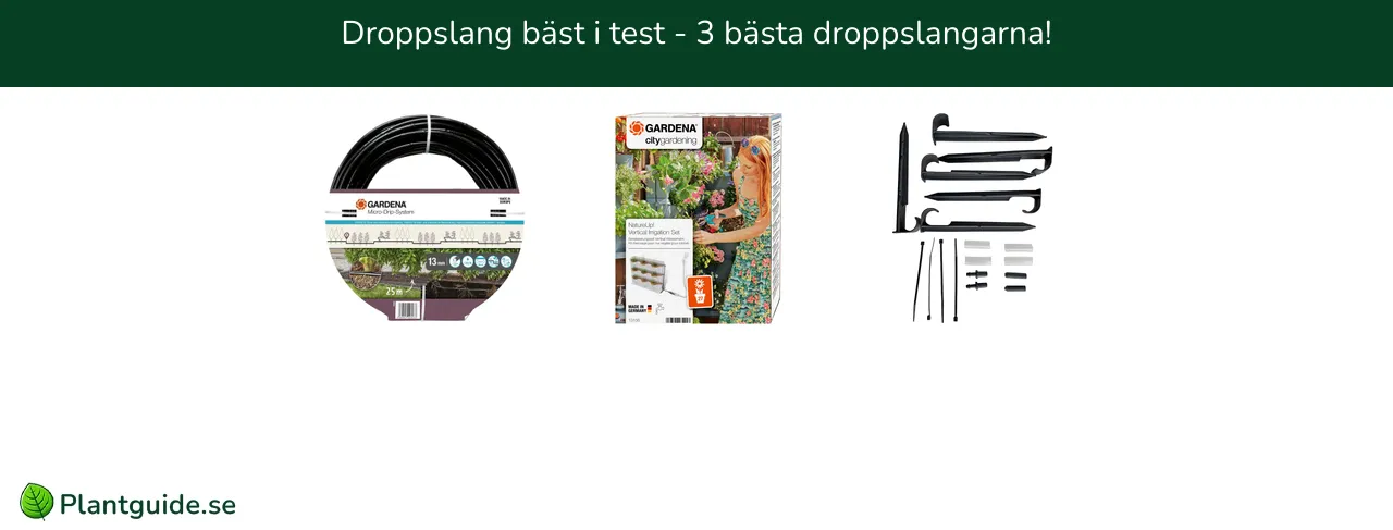 Droppslang bäst i test