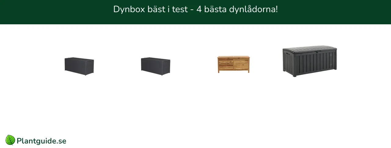 Dynbox bäst i test