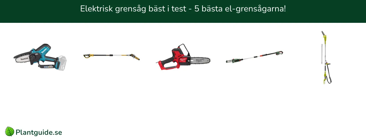 Elektrisk grensåg bäst i test