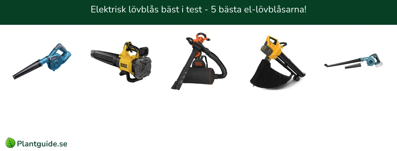 Elektrisk lövblås bäst i test