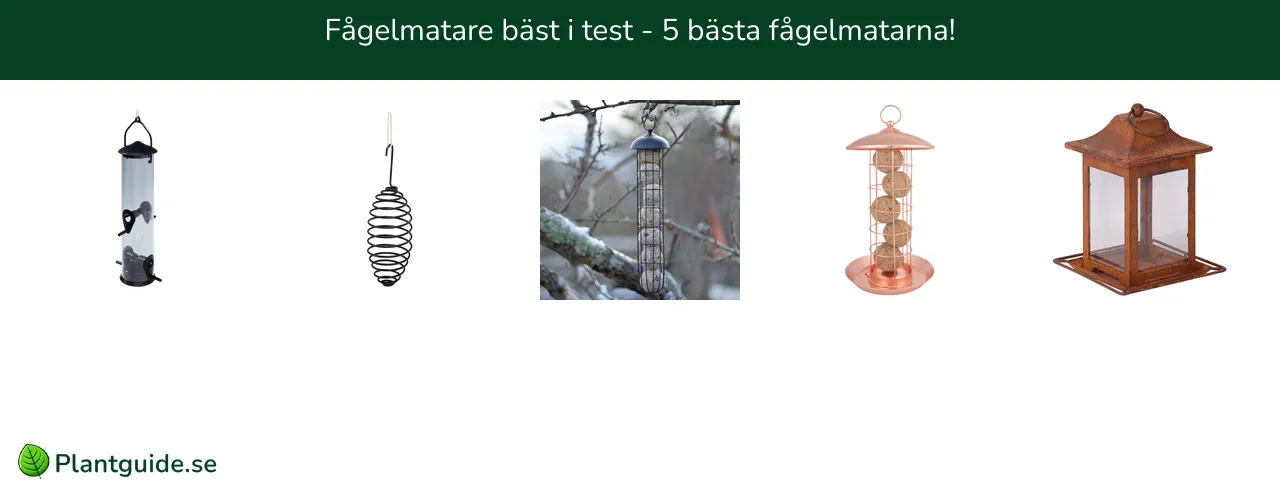 Fågelmatare bäst i test