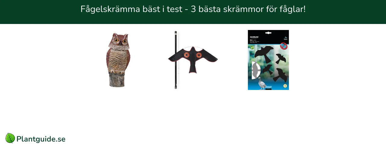 Fågelskrämma bäst i test