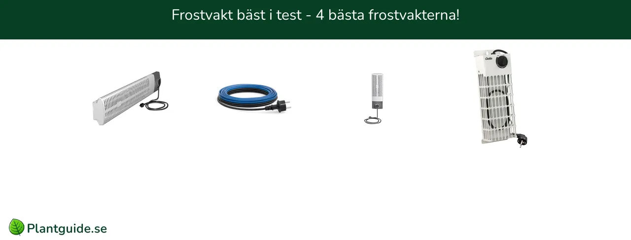 Frostvakt bäst i test