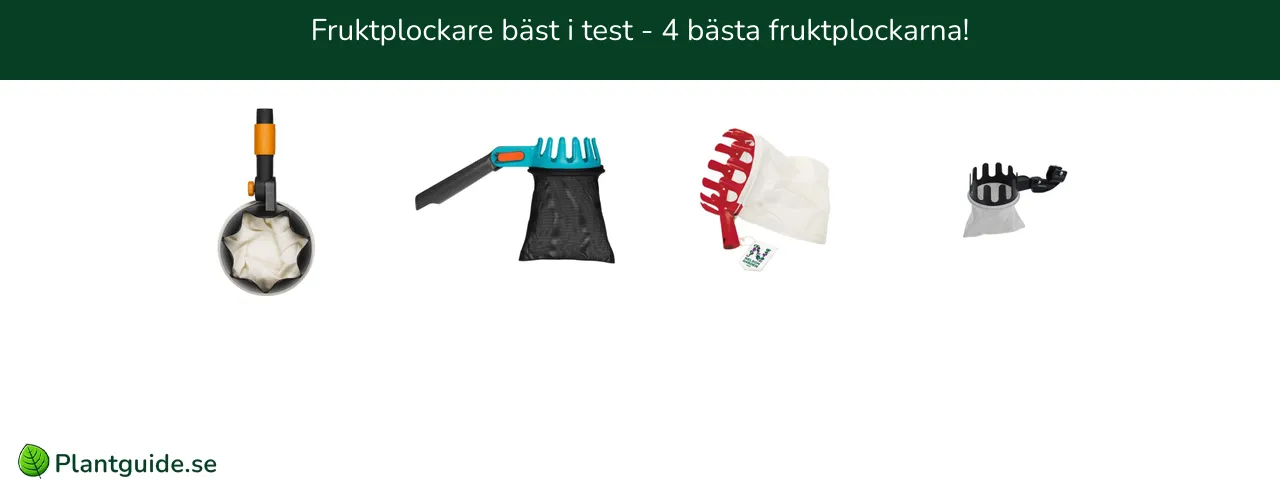 Fruktplockare bäst i test