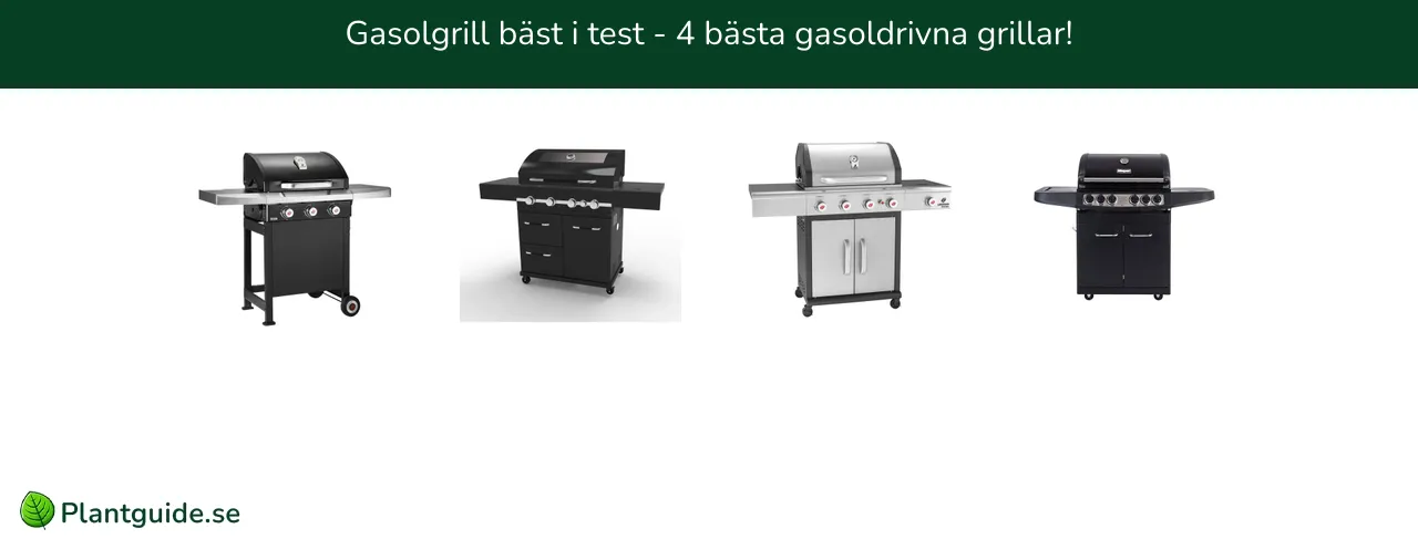 Gasolgrill bäst i test