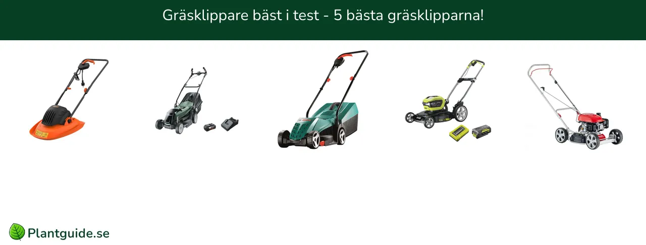 Gräsklippare bäst i test