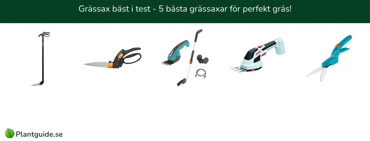 Grässax bäst i test