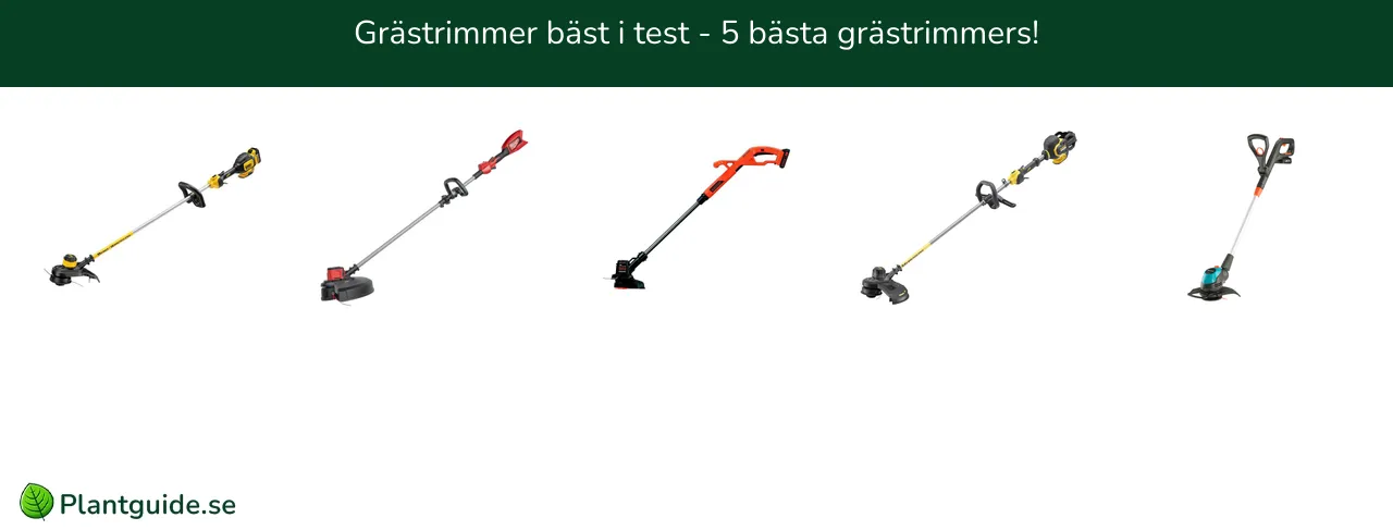 Grästrimmer bäst i test