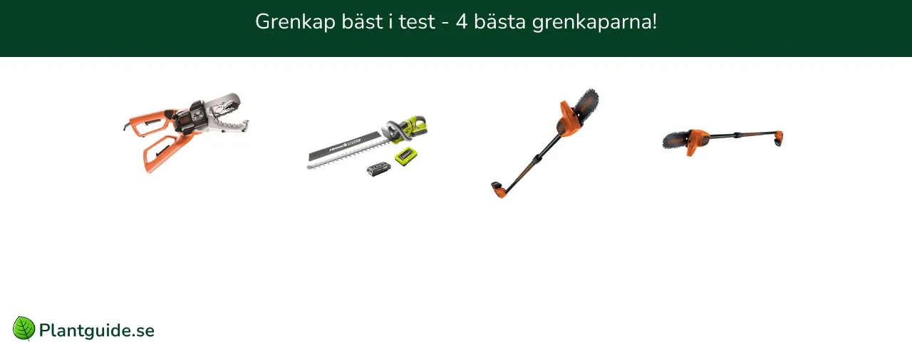 Grenkap bäst i test - 4 bästa grenkaparna!