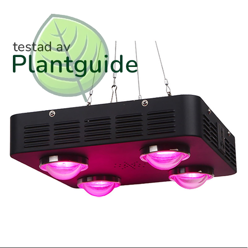 Growbox360 växtlampa LED, fullspektrum