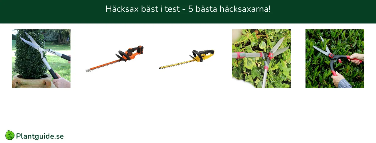 Häcksax bäst i test