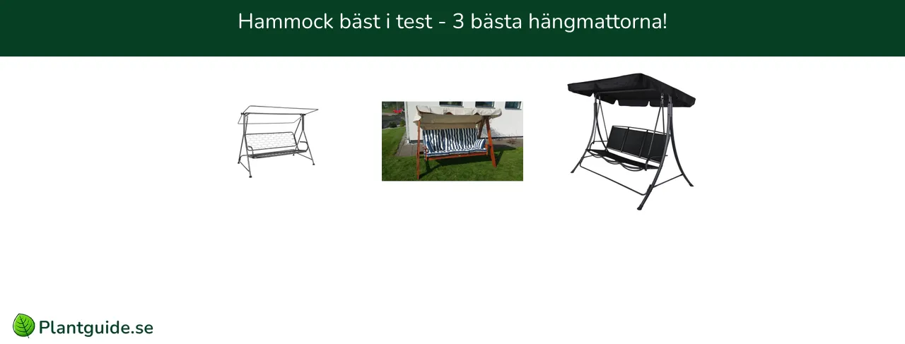 Hammock bäst i test