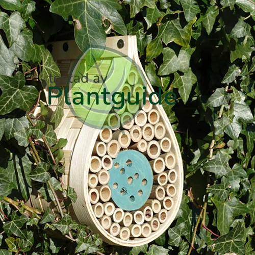 Insektshotell, Dewdrop Bee & Bug Hotel