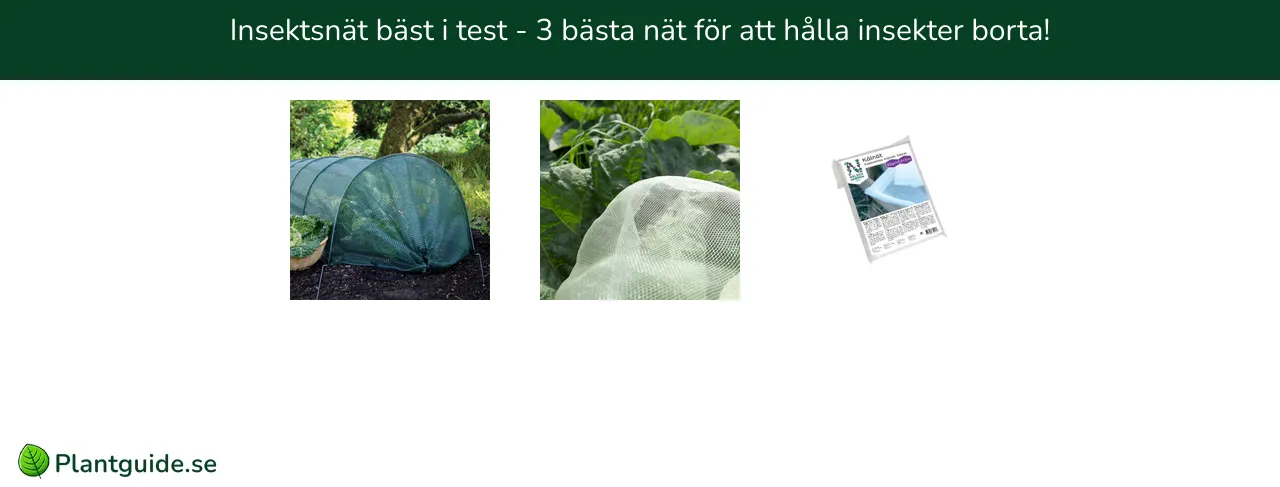 Insektsnät bäst i test - 3 bästa nät för att hålla insekter borta!