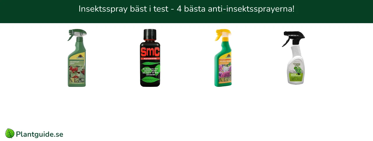 Insektsspray bäst i test