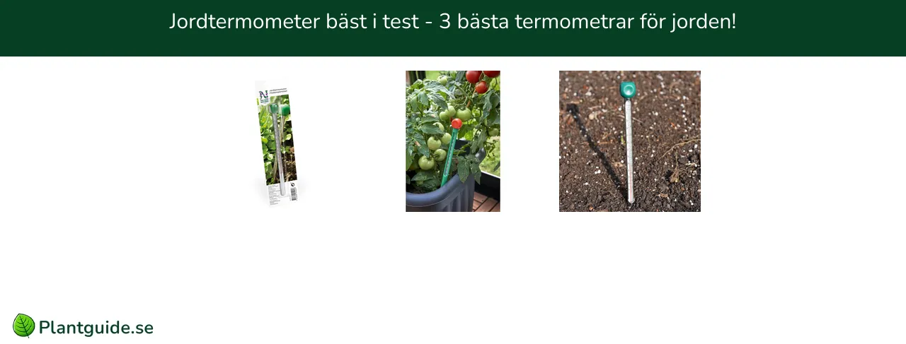 Jordtermometer bäst i test