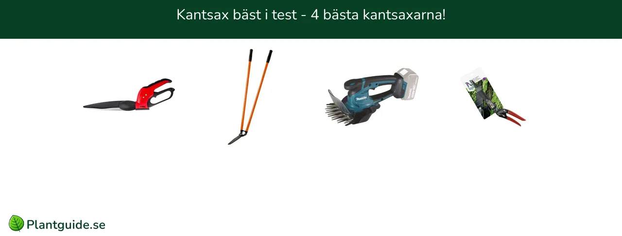 Kantsax bäst i test