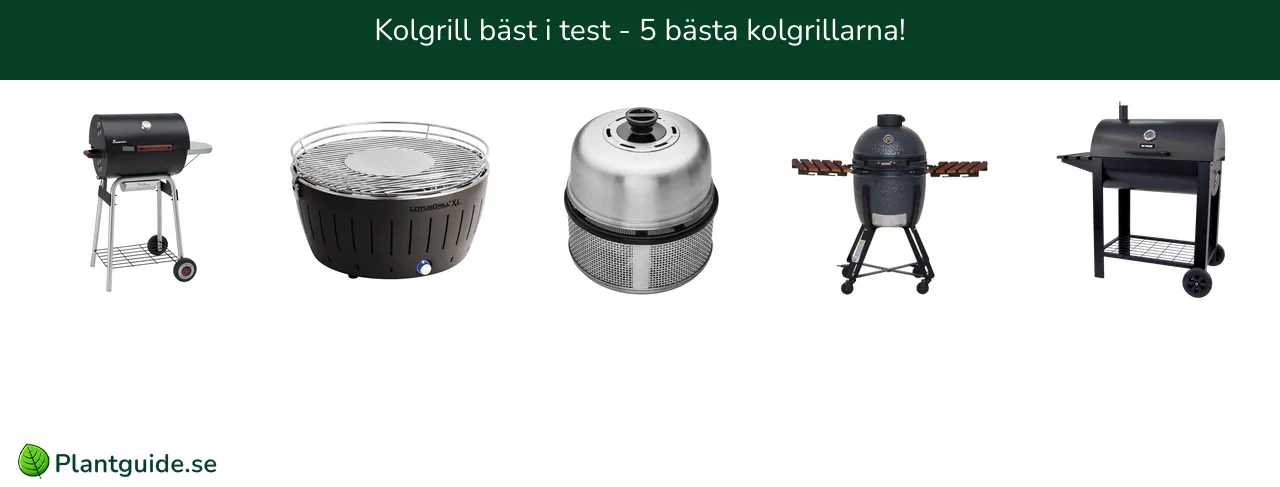 Kolgrill bäst i test