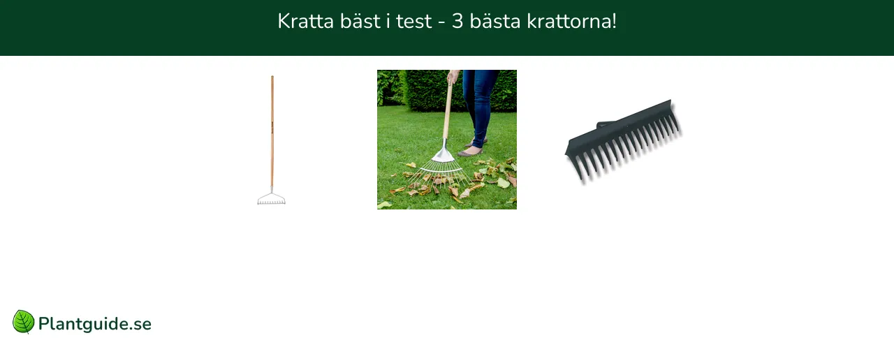 Kratta bäst i test