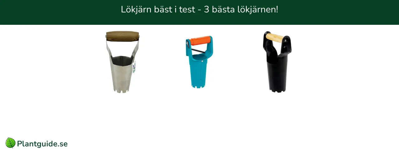 Lökjärn bäst i test