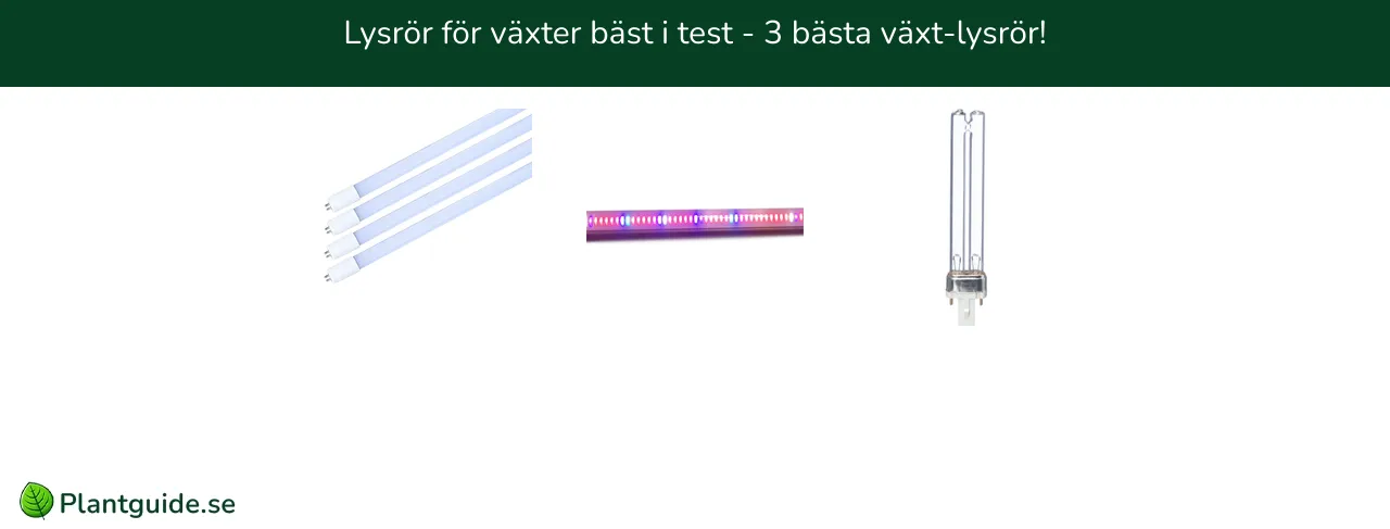 Lysrör för växter bäst i test