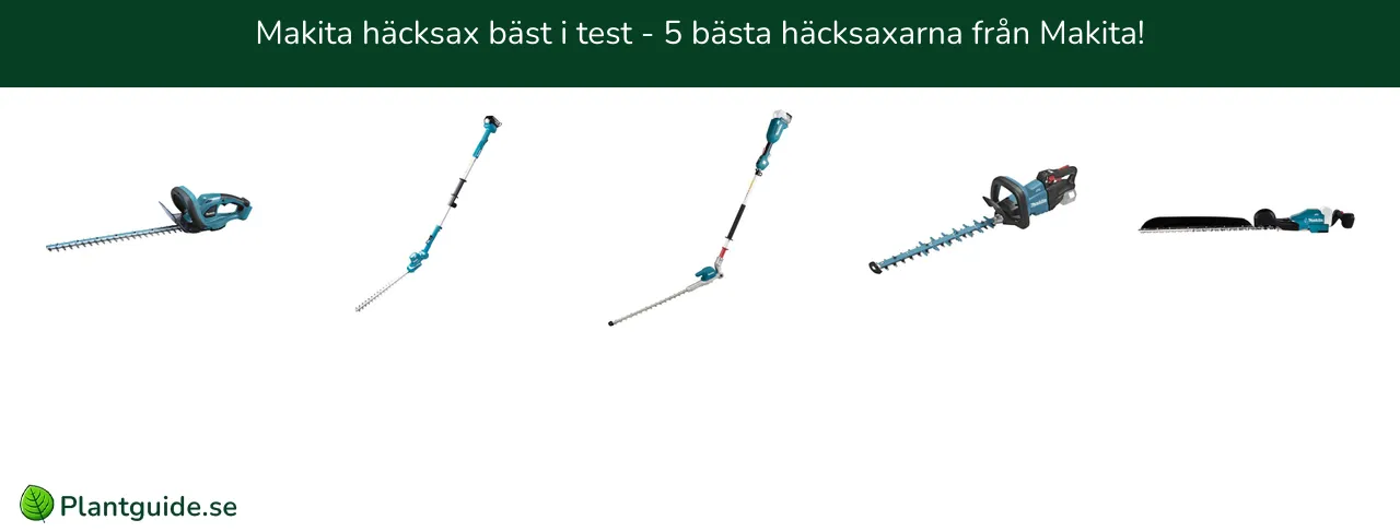 Makita häcksax bäst i test