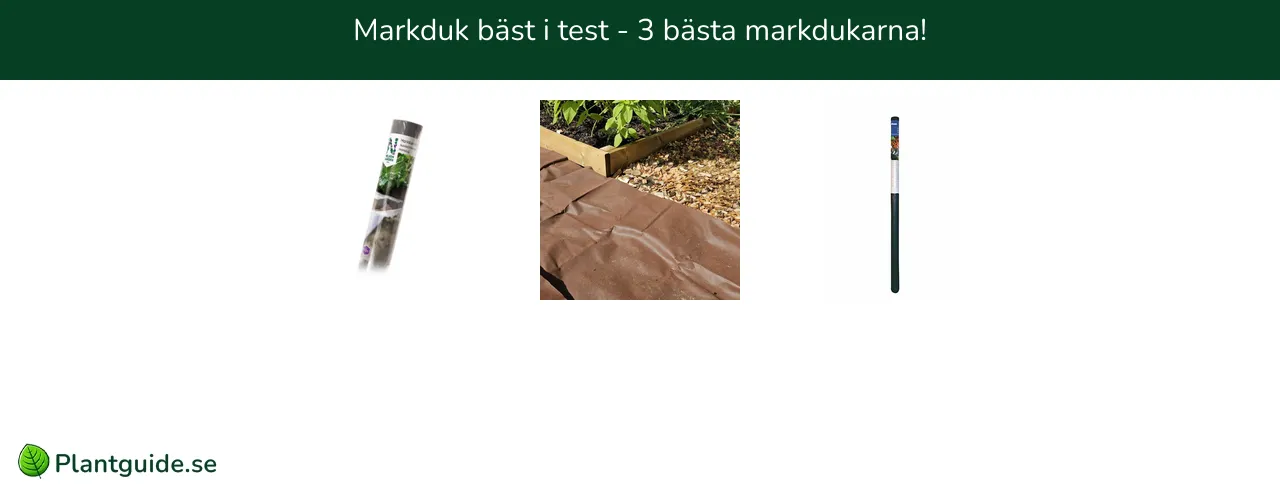 Markduk bäst i test