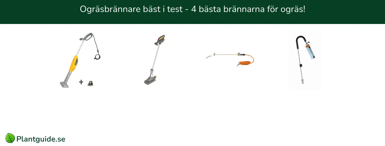 Ogräsbrännare bäst i test