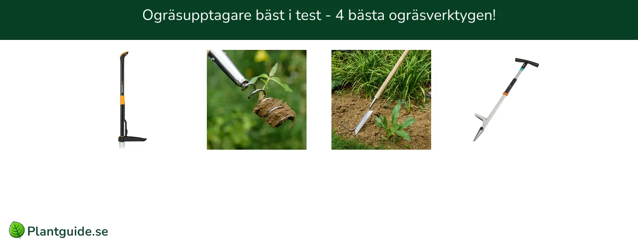 Ogräsupptagare bäst i test