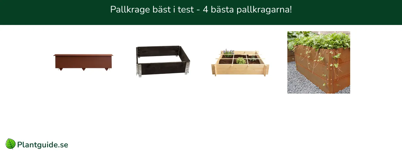 Pallkrage bäst i test