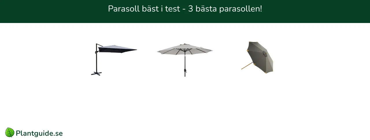 Parasoll bäst i test