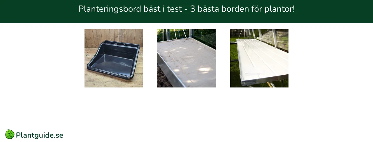 Planteringsbord bäst i test