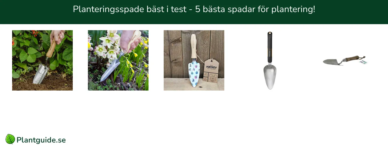 Planteringsspade bäst i test