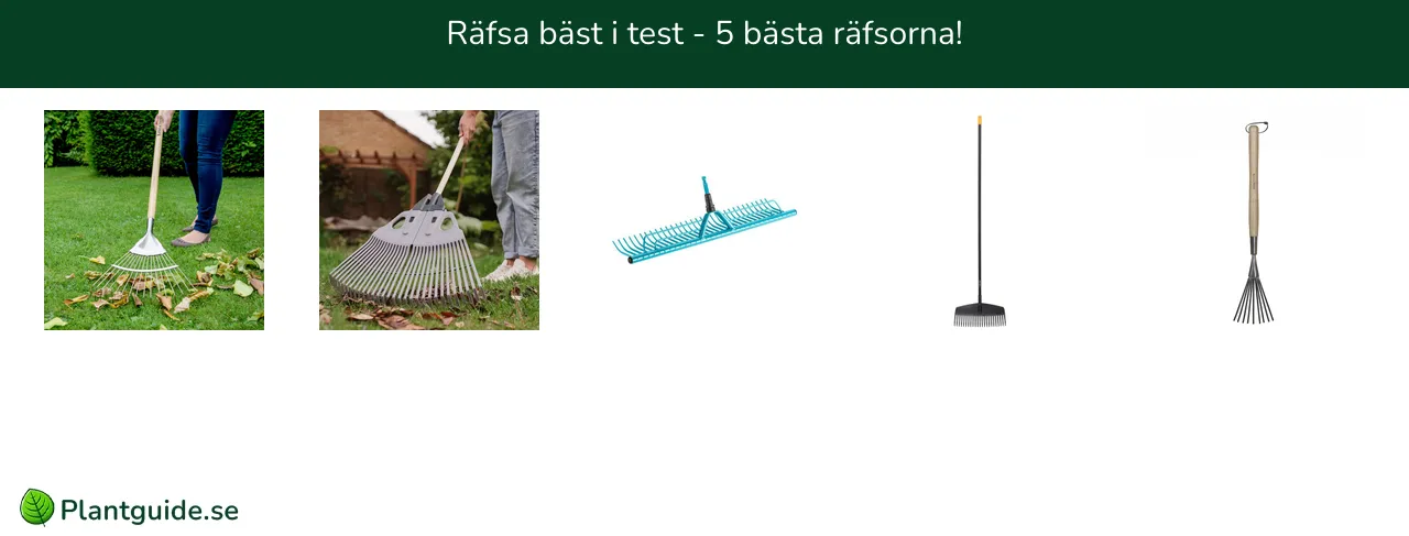 Räfsa bäst i test