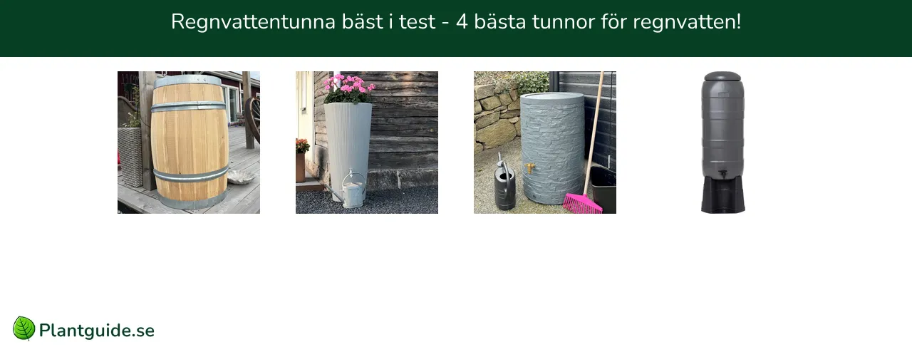 Regnvattentunna bäst i test