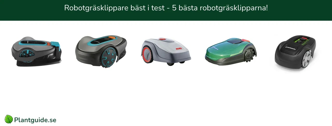 Robotgräsklippare bäst i test