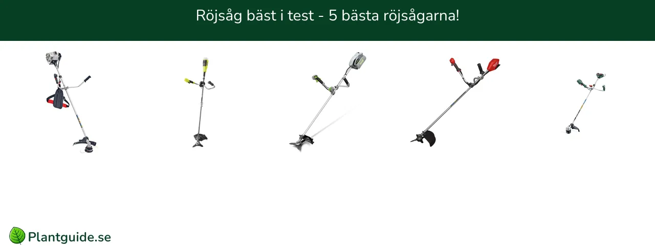 Röjsåg bäst i test