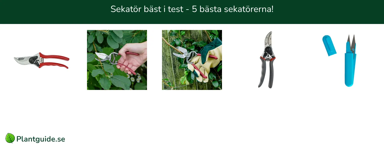 Sekatör bäst i test