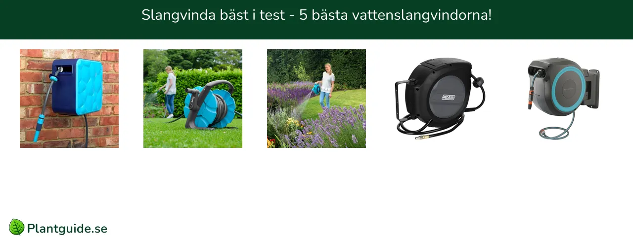 Slangvinda bäst i test