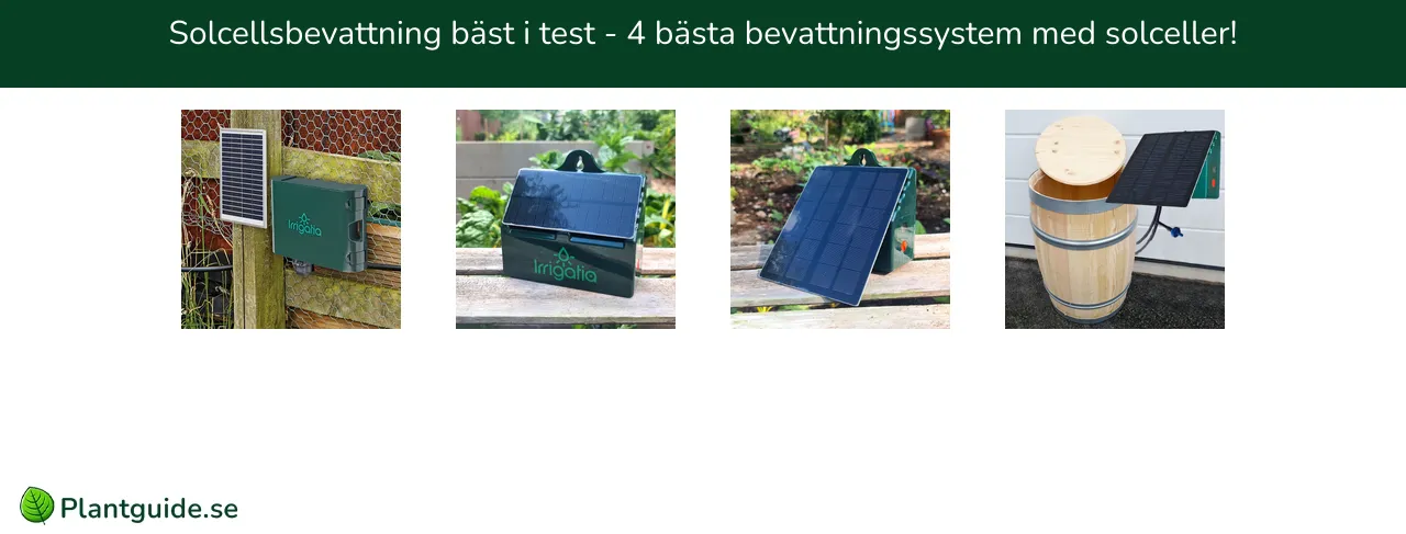 Solcellsbevattning bäst i test