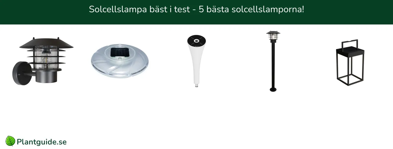 Solcellslampa bäst i test - 5 bästa solcellslamporna!