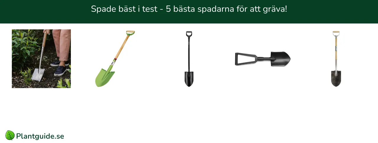 Spade bäst i test