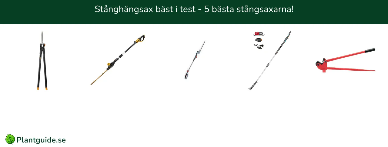 Stånghäcksax bäst i test