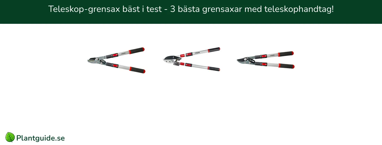 Teleskop-grensax bäst i test